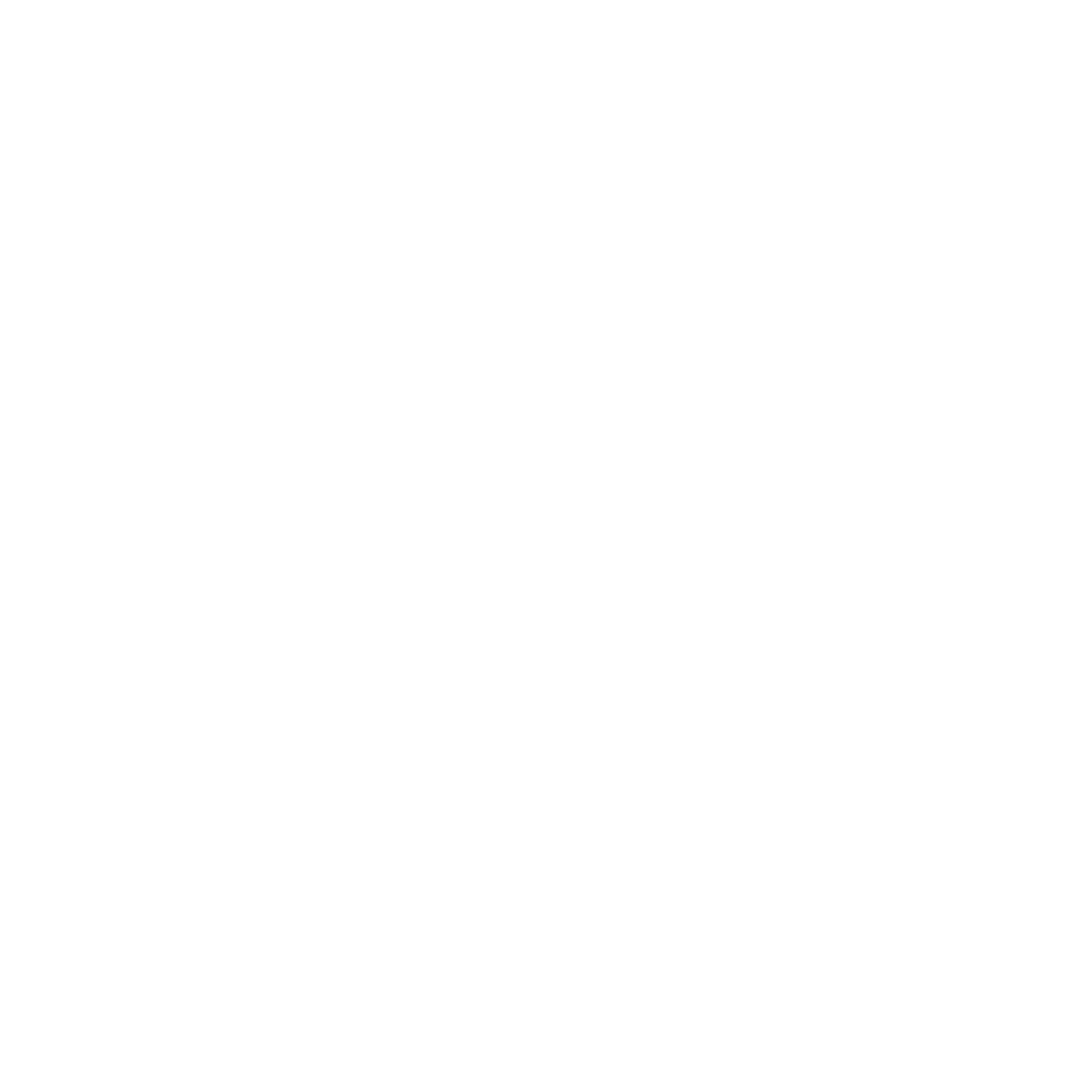 Nos Commerces Online